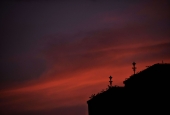 IIP Online Student Photography